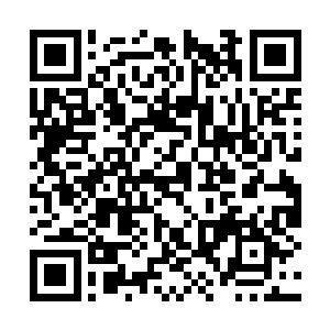 就让我在一处堆了无数枯叶的树林里看到了白道福二维码生成