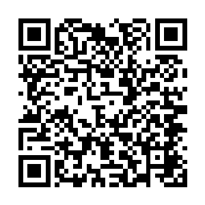 就让我看看霸占破空潜力榜排行第一许多年的景洪二维码生成