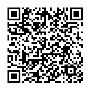 就让血妖姬们做最坏打算的念头只在脑海中打个转就被现实打败了二维码生成