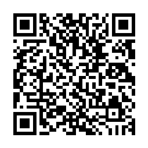 就让赵长枪今天晚上到临河市河北区东郊的一处烂尾楼盘中找他二维码生成