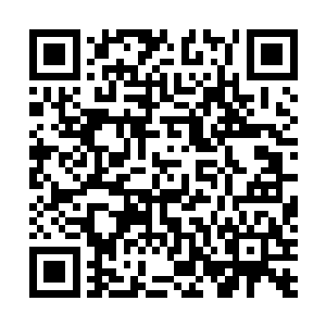 就让路过的小燕子叼走了它身上的金箔和宝石去帮助穷人二维码生成