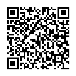 就让那些恨我的厌我的骂我的栽赃我的人都尽快离开吧二维码生成