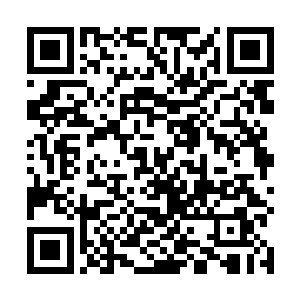 就让那些无精神力的考生前仆后继地去挑战万里有爱吧二维码生成