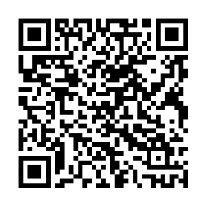 就证明自己会获得很多的机会和更上一层楼的命运二维码生成