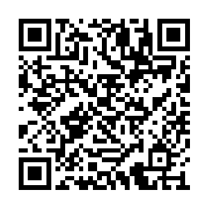 就证明许紫烟已经是三品炼丹师了♀意味着什么二维码生成