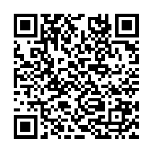 就该是工作室的开业之作――五行吾素的新专辑了二维码生成