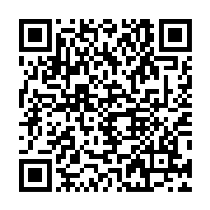 就说你这么迫不及待地想给我家将军扣上贪墨巨款的罪名二维码生成