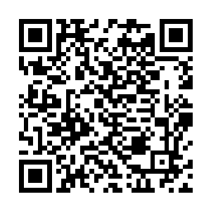 就说呼啸山脉的人类修士对于太虚宗几乎就是言听计从二维码生成