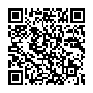 就说无数盘古族和女娲族专家学者们在四周忙碌二维码生成