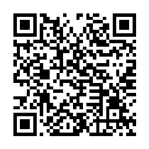 就说明了通灵境与天星境之间的差距究竟是有多么的大二维码生成