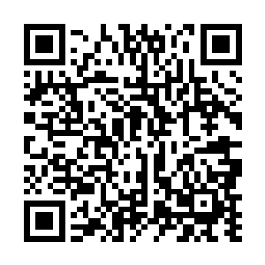 就说明该世界依靠拳脚来肉搏的文明已经发展到了极限二维码生成