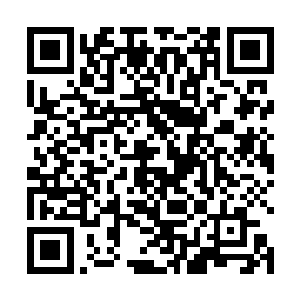 就说明这名人族天仙修士很有可能成为夏侯长天的弟子二维码生成