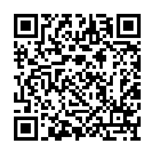 就说那墨族王主怎么会与一位混沌灵王起了冲突二维码生成