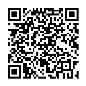 就象曾接待过雨果等人的拖拉机手兼养猪手周大力二维码生成