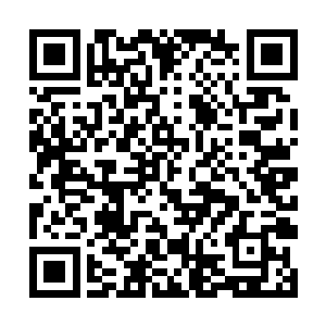 就贝海这一眼扫过去发现每条队伍都至少有一百多人二维码生成