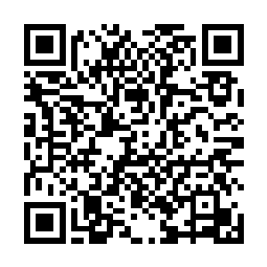 就赫然从她鳞波闪闪的眼眸里如风吹春湖般一圈又一圈二维码生成