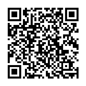 就越发觉得龙晶当中倒映出来的那个世界光芒璀璨瑰丽二维码生成