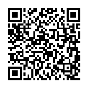 就越让那些人确定两位书记肯定就是住在这里的二维码生成