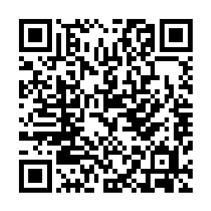 就足以让赵纯良对这个组织里的任何一个人都抱有警惕之心二维码生成