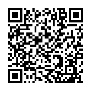 就足以说明它的体内拥有着极为稀薄的龙族血脉二维码生成