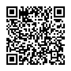 就趴在那城主府花园的一颗海棠树的一片树叶上二维码生成