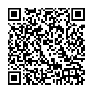 就跟一粒圆形的深红色小果冻一样在碗底还滚了两下都没有消散在井水里二维码生成