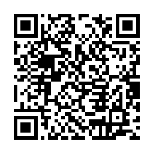 就跟下邳学宫和下邳的士族豪强有一定程度的博弈二维码生成