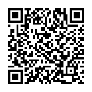 就跟林东那小白脸不适合扮演业务员或者维修工一样二维码生成