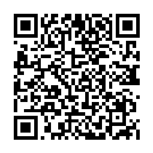 就跟洛天星之前在电话里跟顾夜歌说的一模一样二维码生成