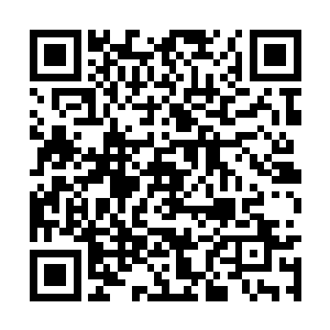 就跟直接抚摸着曹珊珊纤腰上的嫩肉没有什么区别二维码生成