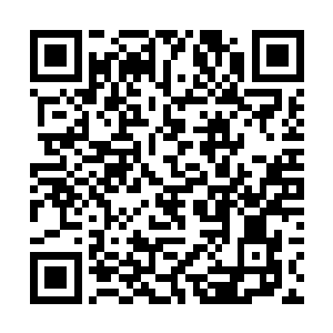 就跟那些不小心靠近的有角人和其他势力的斥候一样二维码生成