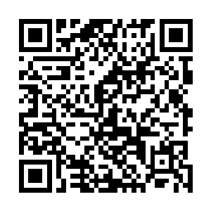 就转向谁的雇佣兵……不知道我这样的解释您相信不……二维码生成