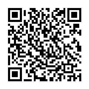 就这个小城外面的阵法在小师妹的眼里根本就不值一提二维码生成