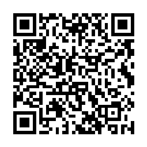 就这么一功夫雪狼已经离那几个男人只有一步的距离二维码生成