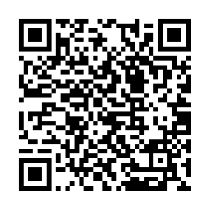 就这么一只仅仅只满足口腹之欲的赤炭胭脂皇帝蟹二维码生成