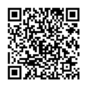 就这么一道简简单单得水果盘和一杯美酒就骗得我晕头转向二维码生成