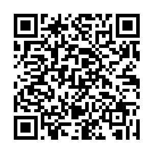 就这么怔怔地看着紫千幻魅惑无双而有深情无尽的容颜二维码生成