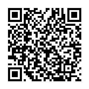 就这么把我们兄弟两人的命托付给你这么一个菜鸟团长二维码生成