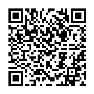 就这么正大光明的陪着自己的亲人出现在公众场合二维码生成