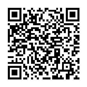 就这么眼睁睁的看着自己的师弟被风清扬活活咬死二维码生成