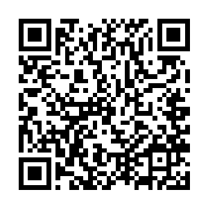 就这么轻轻松松地被张东城当纸一般撕成无数细长条二维码生成