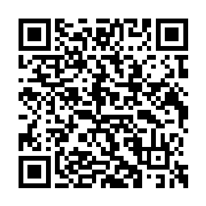 就这些连天仙也不是的家丁家将早便一命呜呼了二维码生成