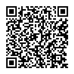 就这几年突然死亡或者那些患病而突然休克昏迷的例子就达到数亿二维码生成