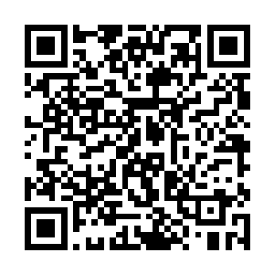 就这娇羞的模样怎么看怎么像要跟自己来一发一样啊二维码生成