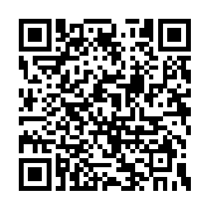 就这栋最小的别墅里都有大大小小十来个房间呢二维码生成