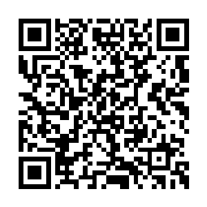 就这样一来二去松下田中很快就打败了其他忍者二维码生成