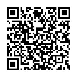 就这样记者们在小镇上开始了寻找卡卡的大冒险二维码生成