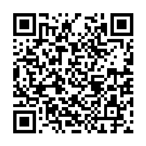 就这样许德拉就离开了龙域开始了自己的流浪生涯二维码生成