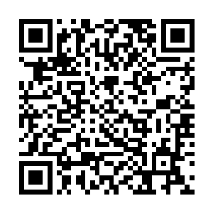 就这样龙傲天持续飞行了禁一天一夜之后才离开了混二维码生成