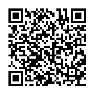 就这还是因为血海里面血液对时洪光的攻击有了很大的阻扰二维码生成